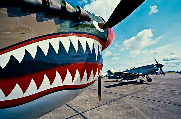 Nose of P-40 Warhawk, P-51 Mustang Taxis in Background A P-51 Mustang taxis in front of a P-40 Warhawk on an airfield in South Texas.  Both aircraft are painted as they would have been during World War II. p51 mustang stock pictures, royalty-free photos & images