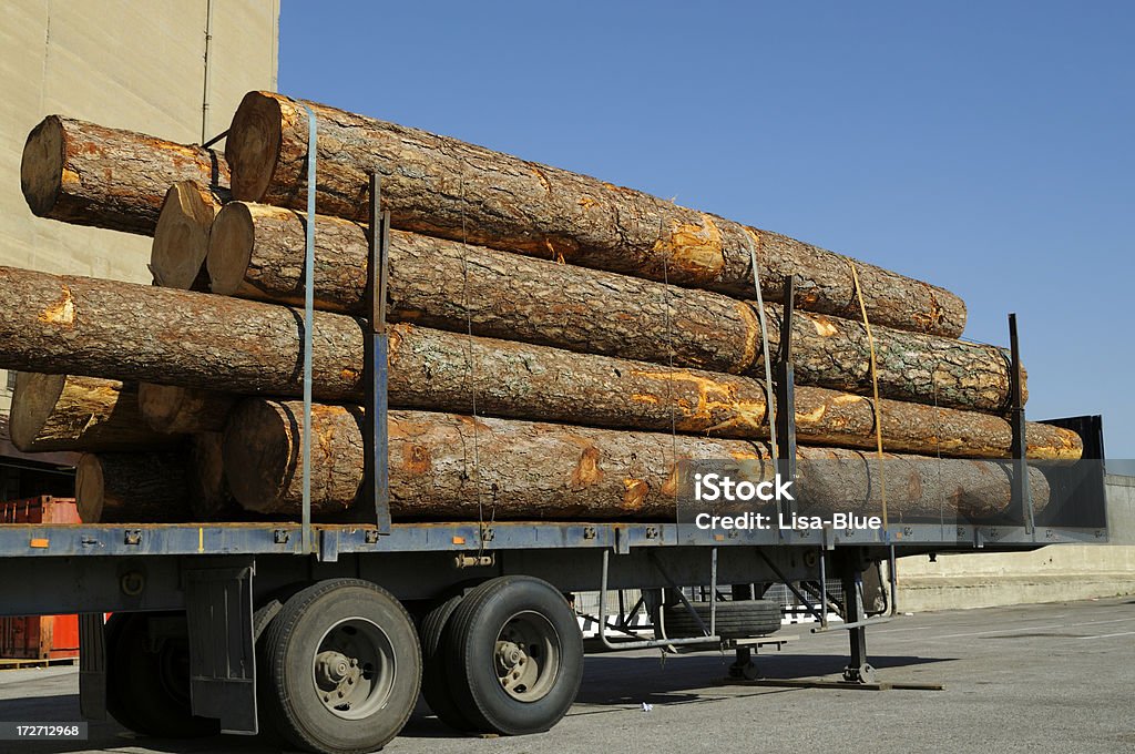 Camion grumier prêt pour le transport - Photo de Bois coupé libre de droits