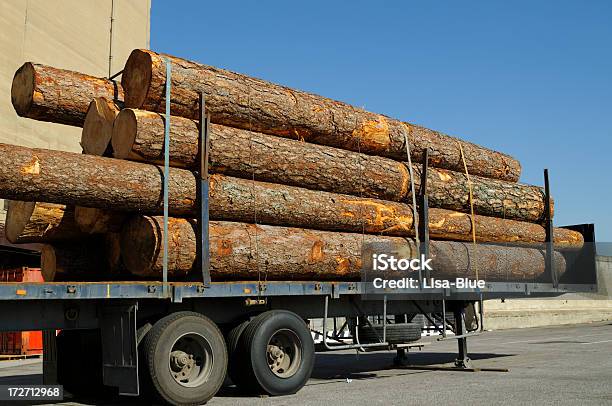 Photo libre de droit de Camion Grumier Prêt Pour Le Transport banque d'images et plus d'images libres de droit de Bois coupé - Bois coupé, Échange commercial, Arbre