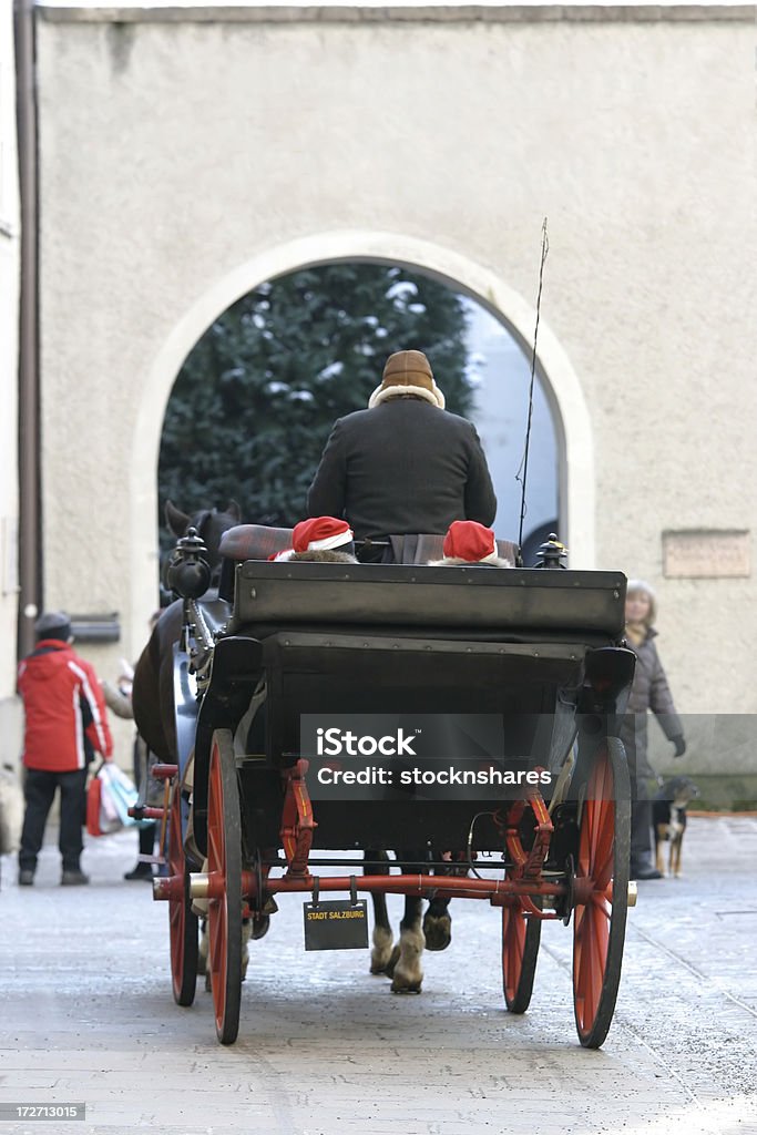 크리스마스 말 & 운반비 - 로열티 프리 잘츠부르크 스톡 사진