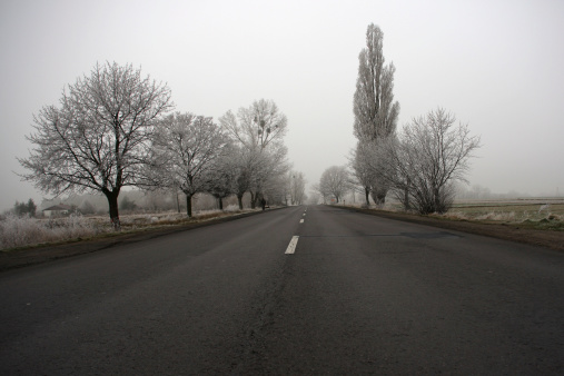 Road on a cold foggy winter's day
