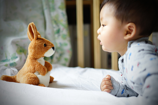 baby and kangaroo stuffed animal