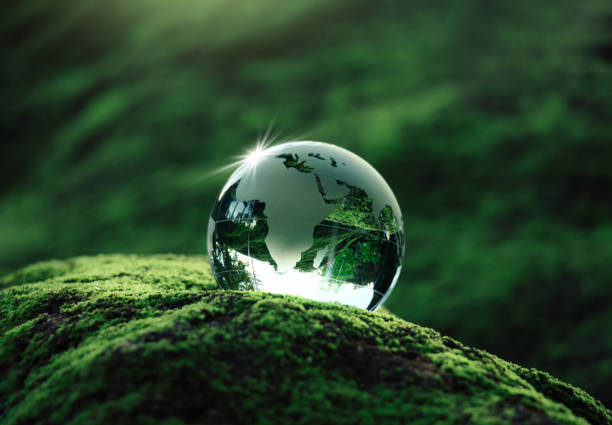 istock Crystal globe putting on moss, ecology environment sustainable and carbon credits 1727133108