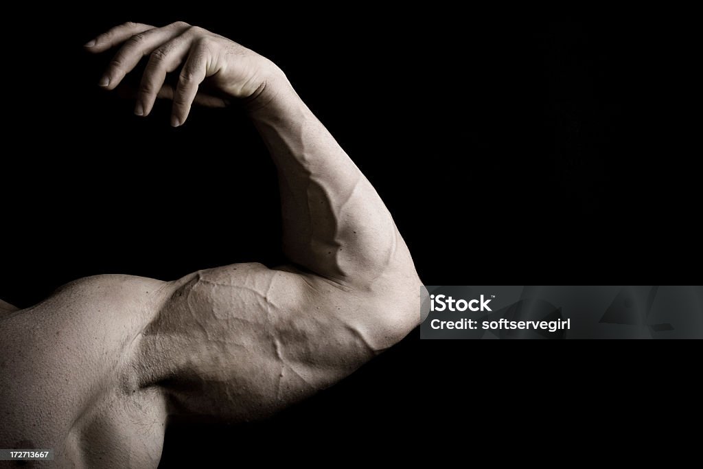 Muscular Male Bicep of a Bodybuilder the muscular bicep of a male bodybuilder shot in a studio environment with a black background.Also View: Adult Stock Photo