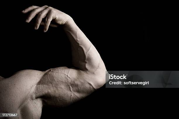 Muscular Male Bicep Of A Bodybuilder Stock Photo - Download Image Now - Adult, Anaerobic Exercise, Athlete