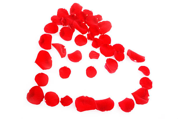 istock heart made of red rose petals 172714561