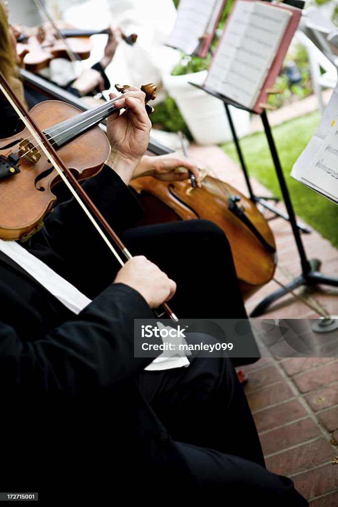 Violine spielt bei einer Hochzeit - Lizenzfrei Hochzeit Stock-Foto