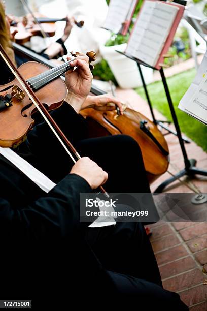 Violine Spielt Bei Einer Hochzeit Stockfoto und mehr Bilder von Hochzeit - Hochzeit, Musik, Aufführung