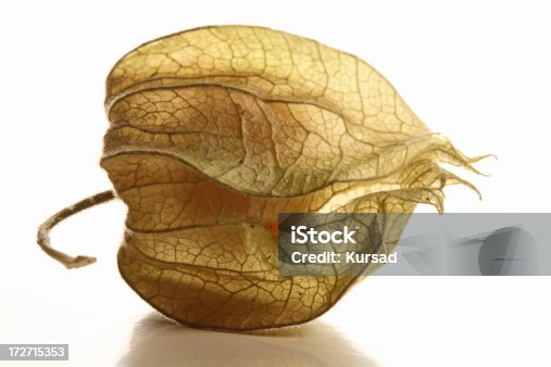 istock colombian golden berry 172715353