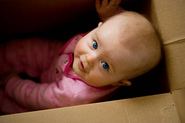 istock Baby playing in cardboard box. 172715405