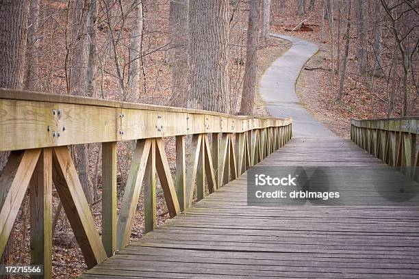 Foto de Ponte Através Do Bosque e mais fotos de stock de Animal morto - Animal morto, Aventura, Bosque - Floresta