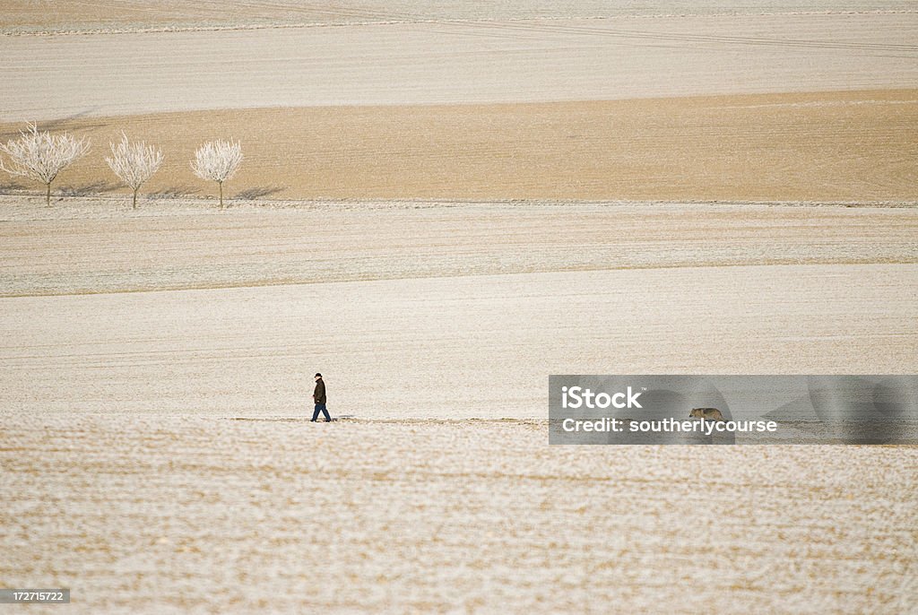 Homem caminhando seu cachorro em uma paisagem de inverno - Foto de stock de Adulto royalty-free