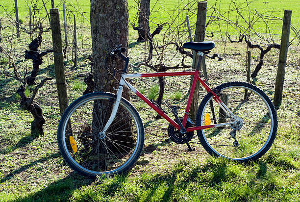 istock Bike and Vines 172715838