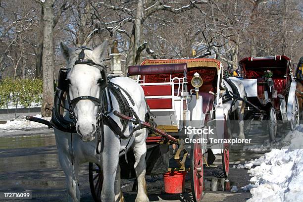 Лошадь Drawn Carriages В Центральном Парке — стоковые фотографии и другие картинки Зима - Зима, Нью-Йорк, Центральный парк - Манхэттен
