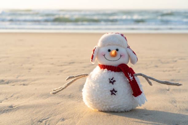 istock Snowman on the beach 1727161269