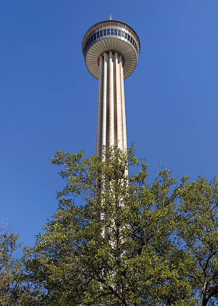 Tower of the Americas em San Antonio Texas - fotografia de stock