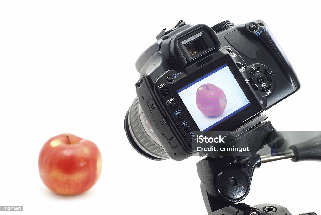 Fotografare oggetto di studio fotografico con schermo intero revisione - Foto stock royalty-free di Macchina fotografica