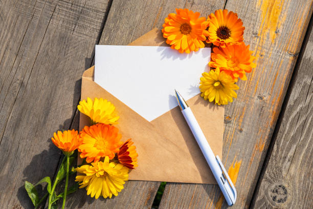 istock An empty paper postcard, an envelope and a calendula flower on a wooden background, a postcard layout with a place to copy, a template, a flat layout. 1727167270