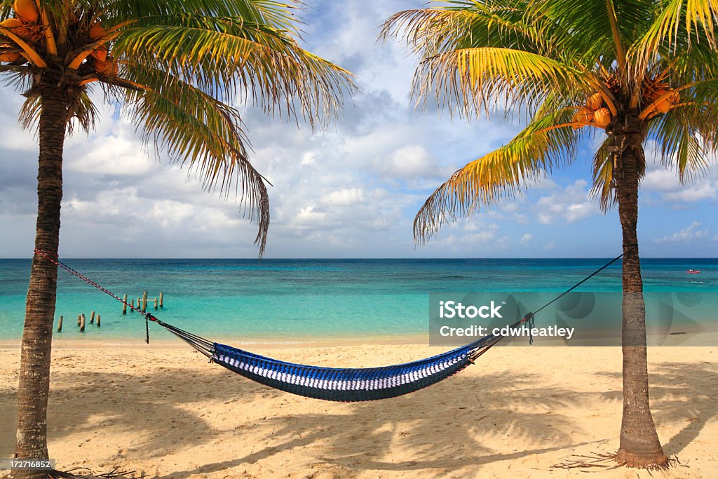 Caribbean hammock and palms hammock and palm trees on beautiful beach in Roatan, Honduras Hammock Stock Photo