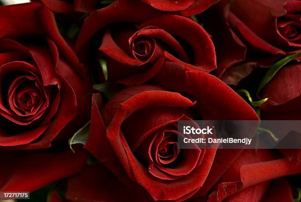 Rosas - Fotografias de stock e mais imagens de Bouquet - Bouquet, Comemoração - Evento, Dia dos Namorados