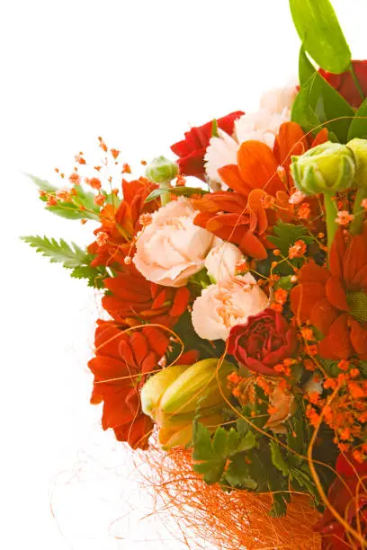 Photo of flower bouquet close-up on white background