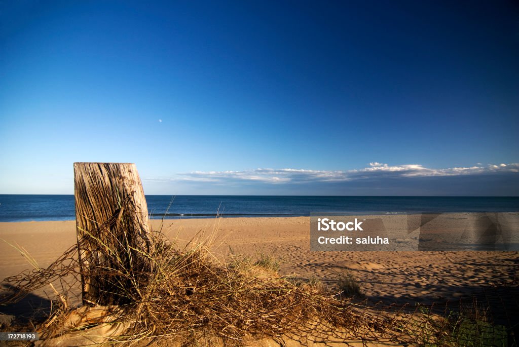 Vicini alla spiaggia - Foto stock royalty-free di Ambientazione esterna