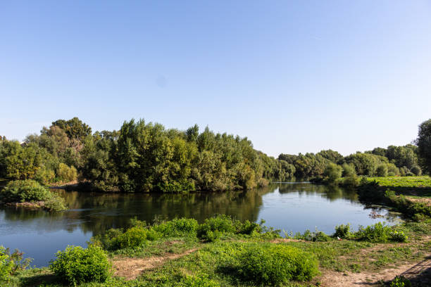 istock Landscape with river, trees and blue sky 1727185404