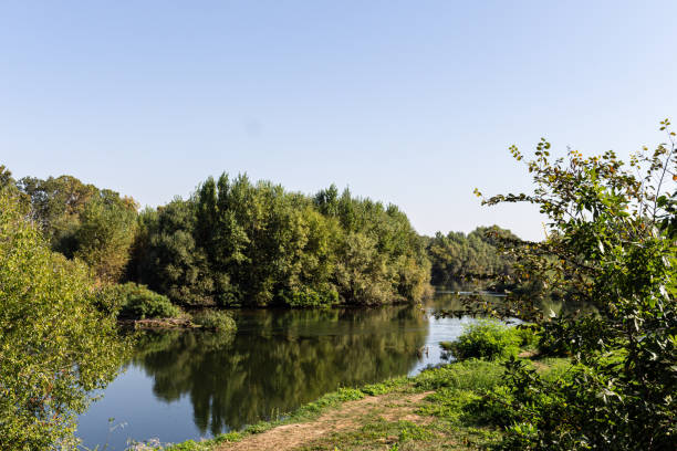 istock Landscape with river, trees and blue sky 1727185939