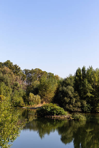istock Landscape with river, trees and blue sky 1727187053