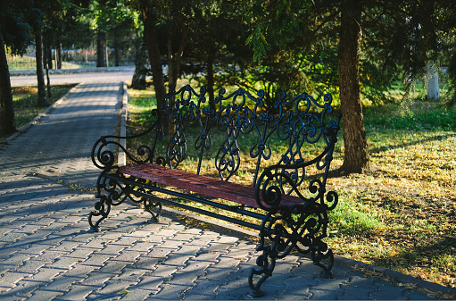 Stylish wrought iron bench in summer park