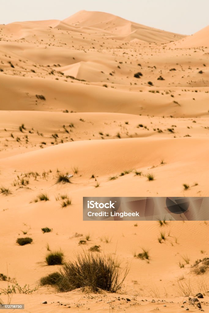 Desert Landscape Landscape in the desert in the Emirate of Abu Dhabi.Shallow depth of field. Focus on grass in foreground. Abandoned Stock Photo