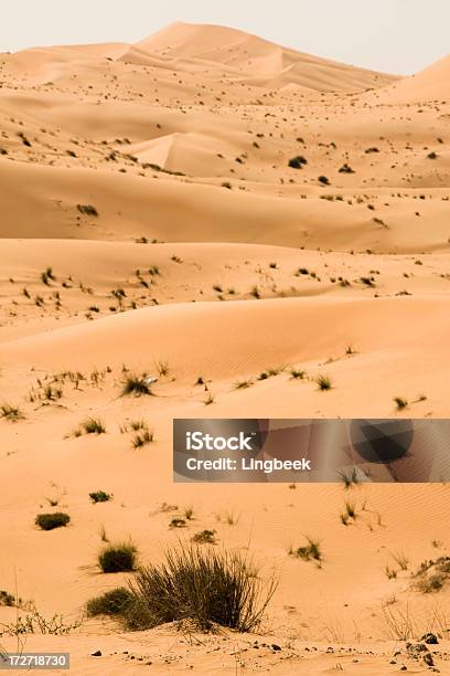 Desert Landscape Stock Photo - Download Image Now - Abandoned, Absence, Abu Dhabi