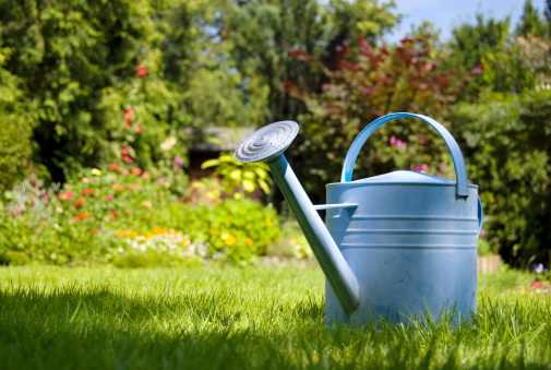 A watering can in a blooming garden