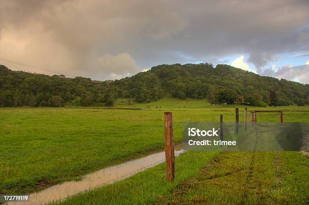 Farm Após A Tempestade - Fotografias de stock e mais imagens de Cerca - Cerca, Chuva, Agricultura