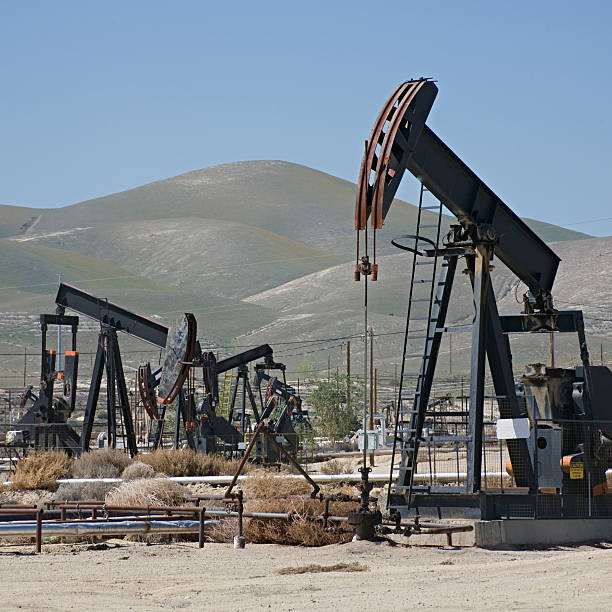 istock Oilfield in California with Multiple Wellhead Pumps 172719131