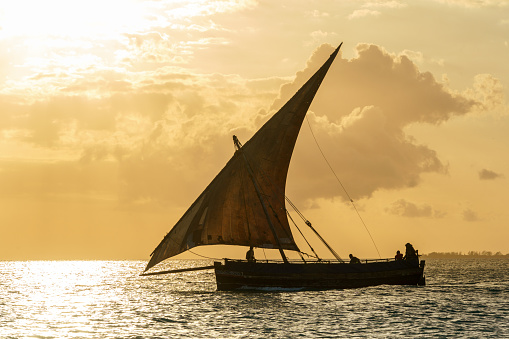 taditional dhow sailing vessels at sunrise sunset returning leaving harbour transporting goods in the inter coastal waters of tanzania and zanzibar