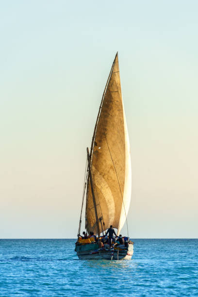 dhow traditional sailing vesssels of zanzibar tanzania - sailing light wind nautical vessel imagens e fotografias de stock