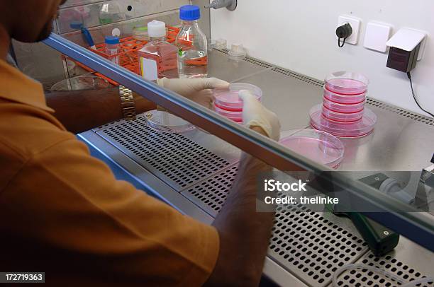 Foto de De Investigação e mais fotos de stock de Analisar - Analisar, Assistência, Biologia