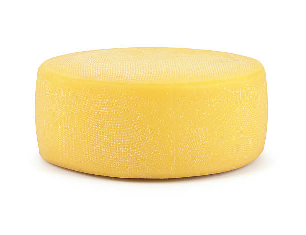 big cheese - farmers cheese imagens e fotografias de stock