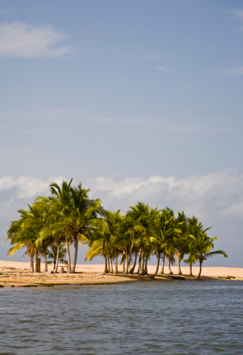 Ghana: Escena de la playa, Boca del Río Volta Delta photo