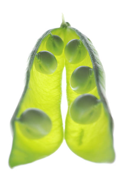 Peas in a pod stock photo