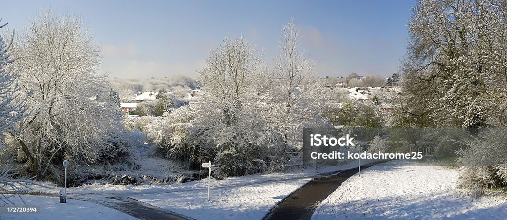 Neve - Foto de stock de Agricultura royalty-free