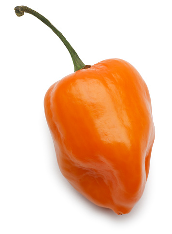 An habanero pepper.
