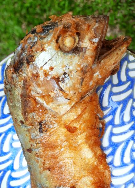 istock Deep fried Mackerel Fish - food preparation. 1727208862