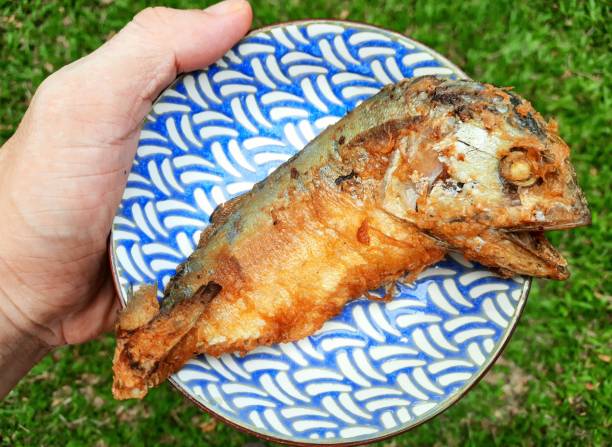 istock Deep fried Mackerel Fish - food preparation. 1727208864
