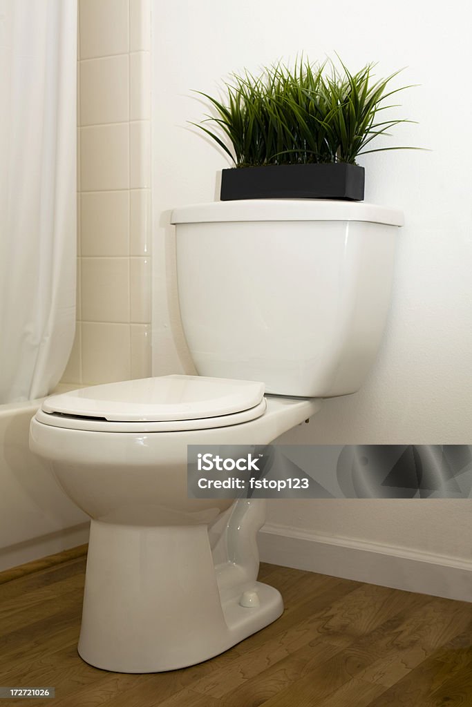 Salle de bains blanche de toilettes. Maison, pièce. - Photo de Cuvette des toilettes libre de droits