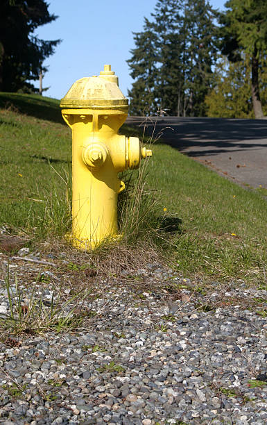 istock Yellow Neighborhood Fire Hydrant 172721046