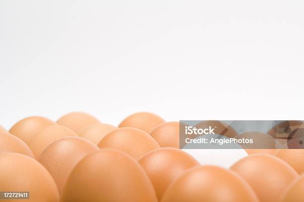 Foto de Muitos De Ovos e mais fotos de stock de Abundância - Abundância, Alimento básico, Animal