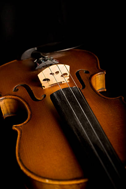 istock Close-up of a classical violin 172721742