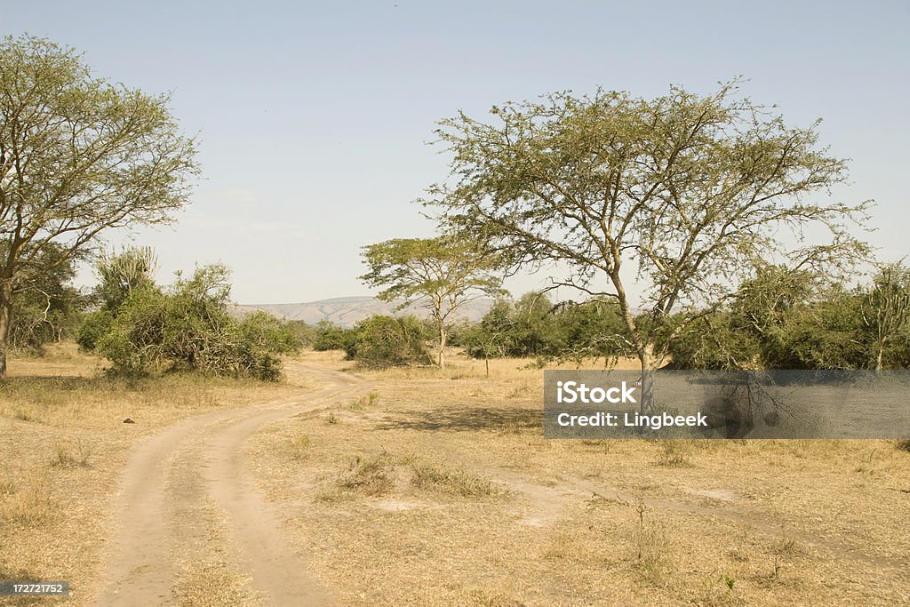 Paesaggio africano - Foto stock royalty-free di Africa